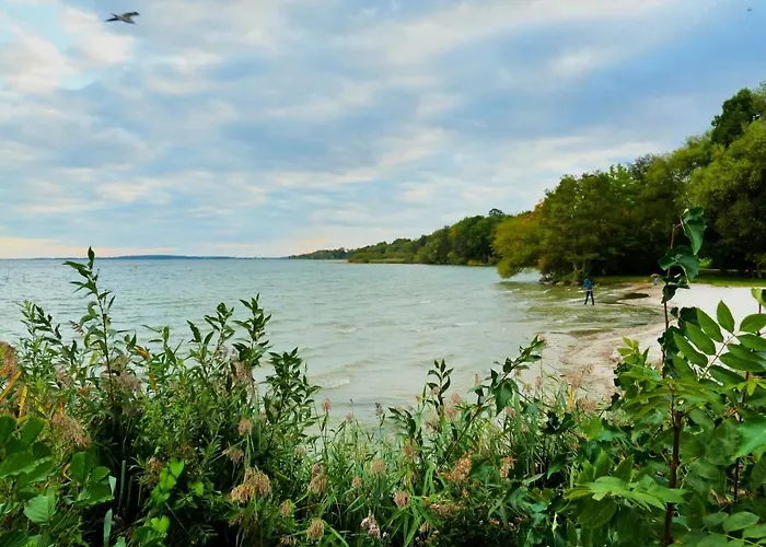 アパート Haus Mueritzbrise _ Eg_fewo クリンク